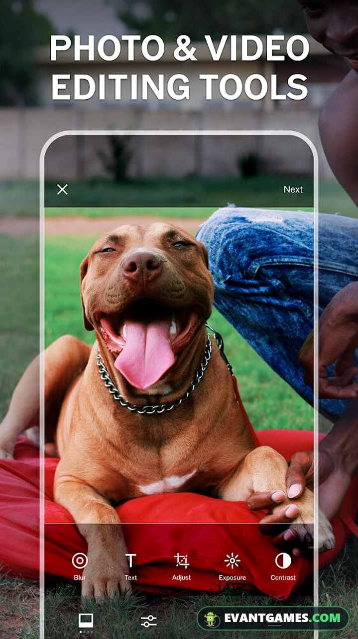 VSCO screenshot 6